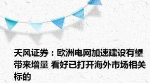 天风证券：欧洲电网加速建设有望带来增量 看好已打开海外市场相关标的