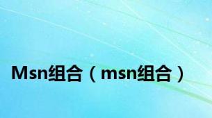 Msn组合（msn组合）