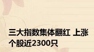 三大指数集体翻红 上涨个股近2300只