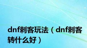 dnf刺客玩法（dnf刺客转什么好）