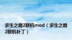 求生之路2联机mod（求生之路2联机补丁）