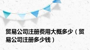 贸易公司注册费用大概多少（贸易公司注册多少钱）