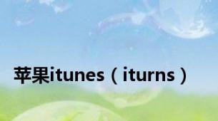 苹果itunes（iturns）