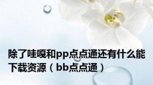 除了哇嘎和pp点点通还有什么能下载资源（bb点点通）