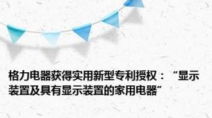 格力电器获得实用新型专利授权：“显示装置及具有显示装置的家用电器”