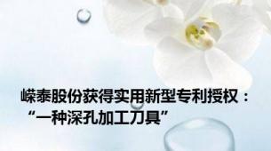 嵘泰股份获得实用新型专利授权：“一种深孔加工刀具”