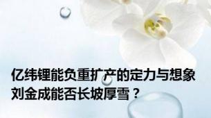 亿纬锂能负重扩产的定力与想象 刘金成能否长坡厚雪？