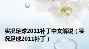 实况足球2011补丁中文解说（实况足球2011补丁）