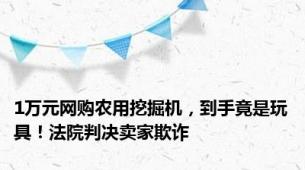 1万元网购农用挖掘机，到手竟是玩具！法院判决卖家欺诈