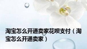 淘宝怎么开通卖家花呗支付（淘宝怎么开通卖家）