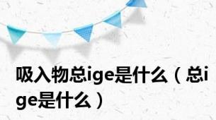 吸入物总ige是什么（总ige是什么）