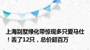 上海别墅绿化带惊现多只爱马仕！丢了12只，总价超百万