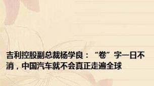 吉利控股副总裁杨学良：“卷”字一日不消，中国汽车就不会真正走遍全球