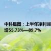 中科星图：上半年净利润同比预增55.73%—89.7%