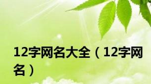 12字网名大全（12字网名）