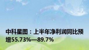 中科星图：上半年净利润同比预增55.73%—89.7%