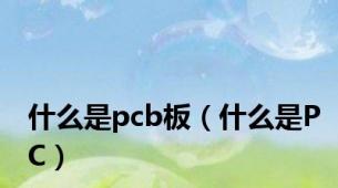 什么是pcb板（什么是PC）