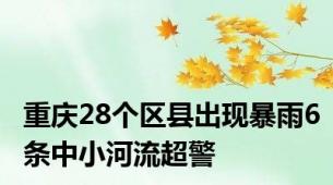 重庆28个区县出现暴雨6条中小河流超警