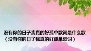 没有你的日子我真的好孤单歌词是什么歌（没有你的日子我真的好孤单歌词）