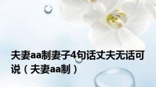 夫妻aa制妻子4句话丈夫无话可说（夫妻aa制）