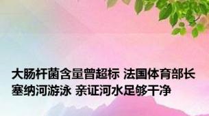 大肠杆菌含量曾超标 法国体育部长塞纳河游泳 亲证河水足够干净