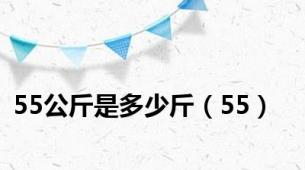 55公斤是多少斤（55）