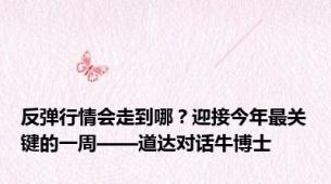 反弹行情会走到哪？迎接今年最关键的一周——道达对话牛博士