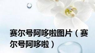 赛尔号阿哆啦图片（赛尔号阿哆啦）