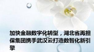 加快金融数字化转型，湖北省再担保集团携手武汉云打造数智化新引擎