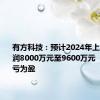 有方科技：预计2024年上半年净利润8000万元至9600万元   同比扭亏为盈