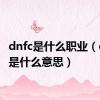 dnfc是什么职业（dnfcc是什么意思）