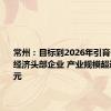 常州：目标到2026年引育一批低空经济头部企业 产业规模超过300亿元