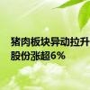 猪肉板块异动拉升 湘佳股份涨超6%