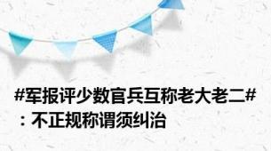 #军报评少数官兵互称老大老二#：不正规称谓须纠治