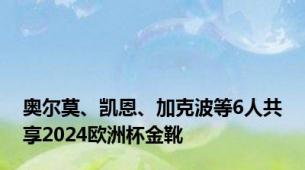 奥尔莫、凯恩、加克波等6人共享2024欧洲杯金靴