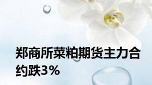 郑商所菜粕期货主力合约跌3%