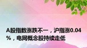 A股指数涨跌不一，沪指涨0.04%，电网概念股持续走低