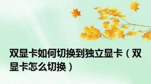 双显卡如何切换到独立显卡（双显卡怎么切换）