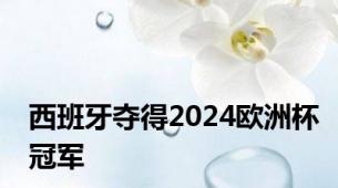 西班牙夺得2024欧洲杯冠军