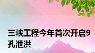 三峡工程今年首次开启9孔泄洪