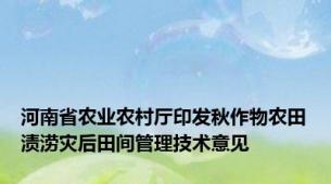 河南省农业农村厅印发秋作物农田渍涝灾后田间管理技术意见