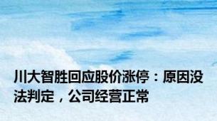 川大智胜回应股价涨停：原因没法判定，公司经营正常