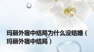 玛丽外宿中结局为什么没结婚（玛丽外宿中结局）