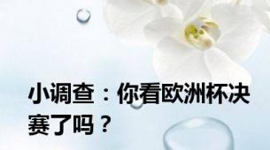 小调查：你看欧洲杯决赛了吗？