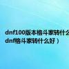 dnf100版本格斗家转什么职好（dnf格斗家转什么好）