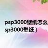 psp3000壁纸怎么换（psp3000壁纸）