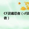 CF灵魂忍者（cf灵魂忍者）