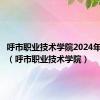 呼市职业技术学院2024年录取线（呼市职业技术学院）