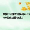 酷狗mv格式转换成mp3（酷狗mv怎么转换格式）