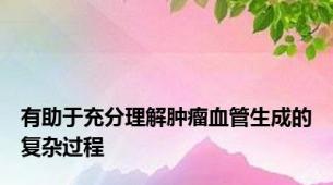 有助于充分理解肿瘤血管生成的复杂过程